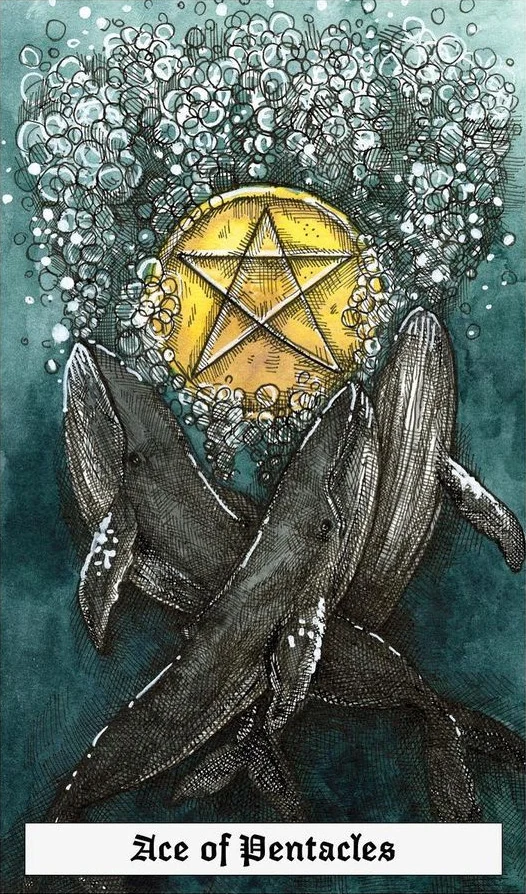 Ace of Pentacles - The Ocean Tarot Deck - Taylor Hultquist-Todd