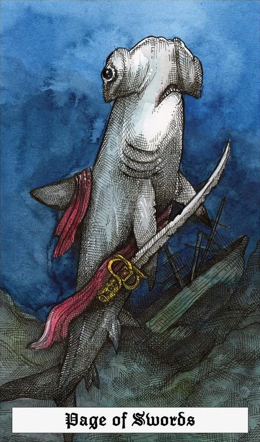Page of Swords - The Ocean Tarot Deck - Taylor Hultquist-Todd