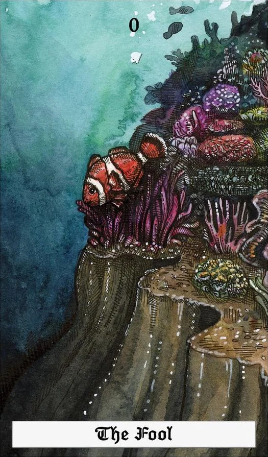 Ocean Tarot Review