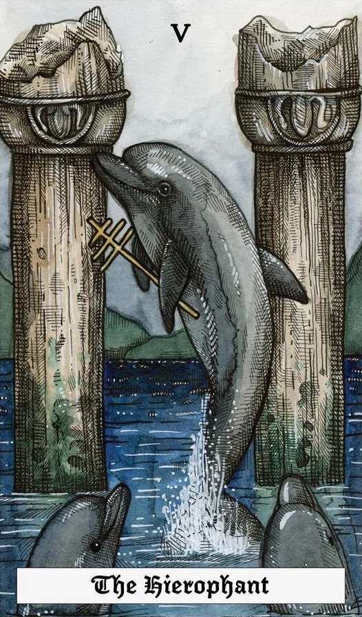 The Hierophant - The Ocean Tarot Deck - Taylor Hultquist-Todd