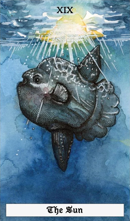 The Sun - The Ocean Tarot Deck - Taylor Hultquist-Todd