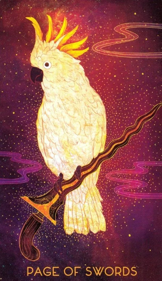 Page of Swords card from the Oriens Animal Tarot deck