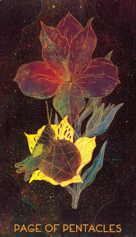 Page of Pentacles card from the Oriens Animal Tarot deck