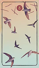 Eight of Wands - The Pacific Northwest Tarot - Brendan Marnell