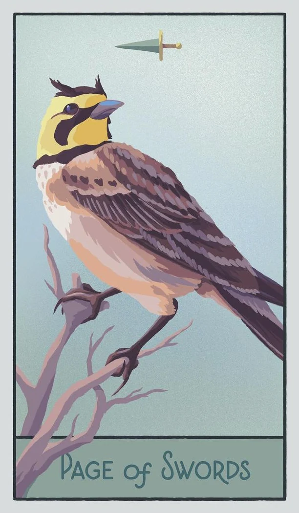Page of Swords - The Pacific Northwest Tarot - Brendan Marnell