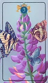 Three of Cups - The Pacific Northwest Tarot - Brendan Marnell