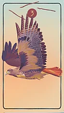 Three of Wands - The Pacific Northwest Tarot - Brendan Marnell
