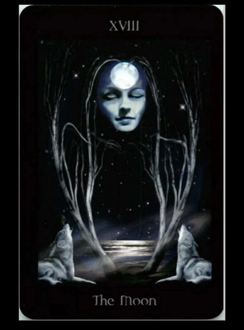 The Moon card from the Pagan Ways Tarot deck