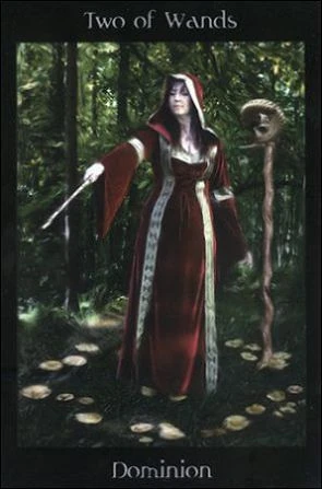 Two of Wands card from the Pagan Ways Tarot deck