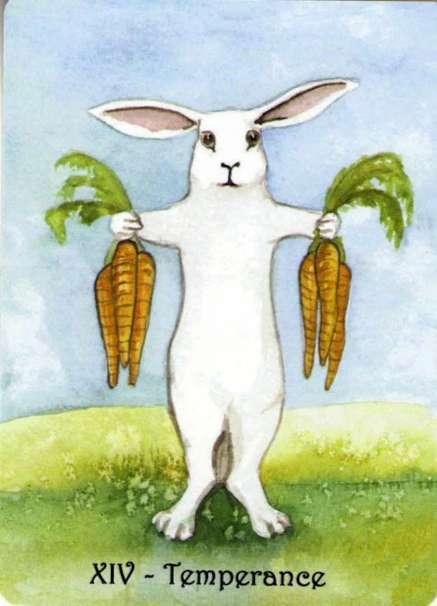 Temperance - Card from The Rabbit Tarot Deck card from the The Rabbit Tarot deck