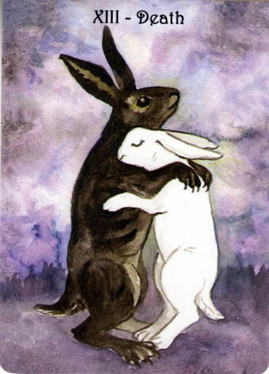 The Rabbit Tarot Review 5 Death from The Rabbit Tarot