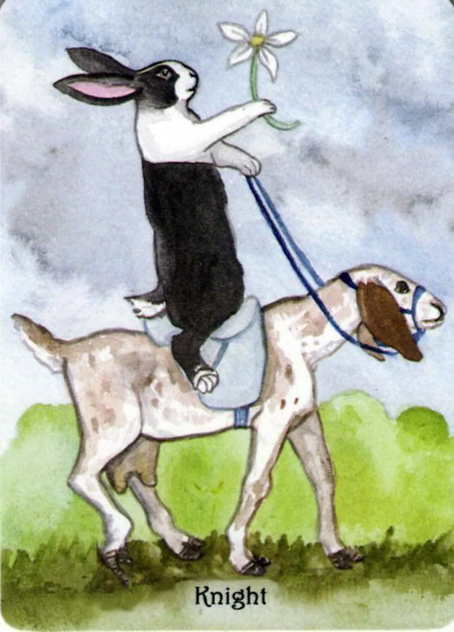 - Card from The Rabbit Tarot Deck card from the The Rabbit Tarot deck