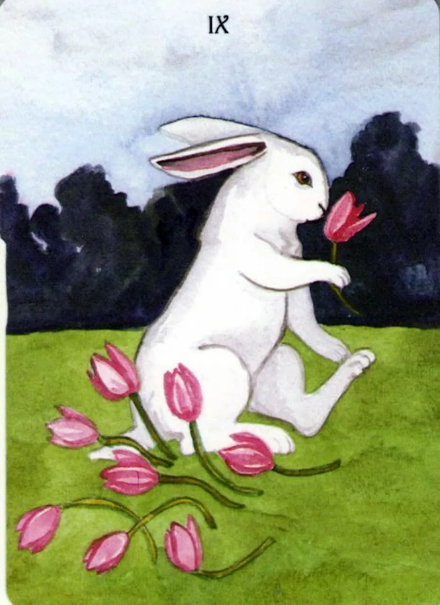 Nine of Cups card from The Rabbit Tarot deck
