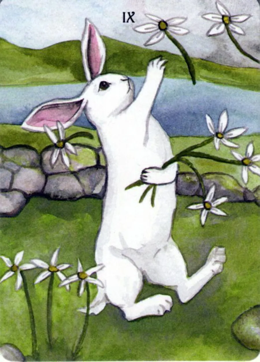 - Card from The Rabbit Tarot Deck card from the The Rabbit Tarot deck