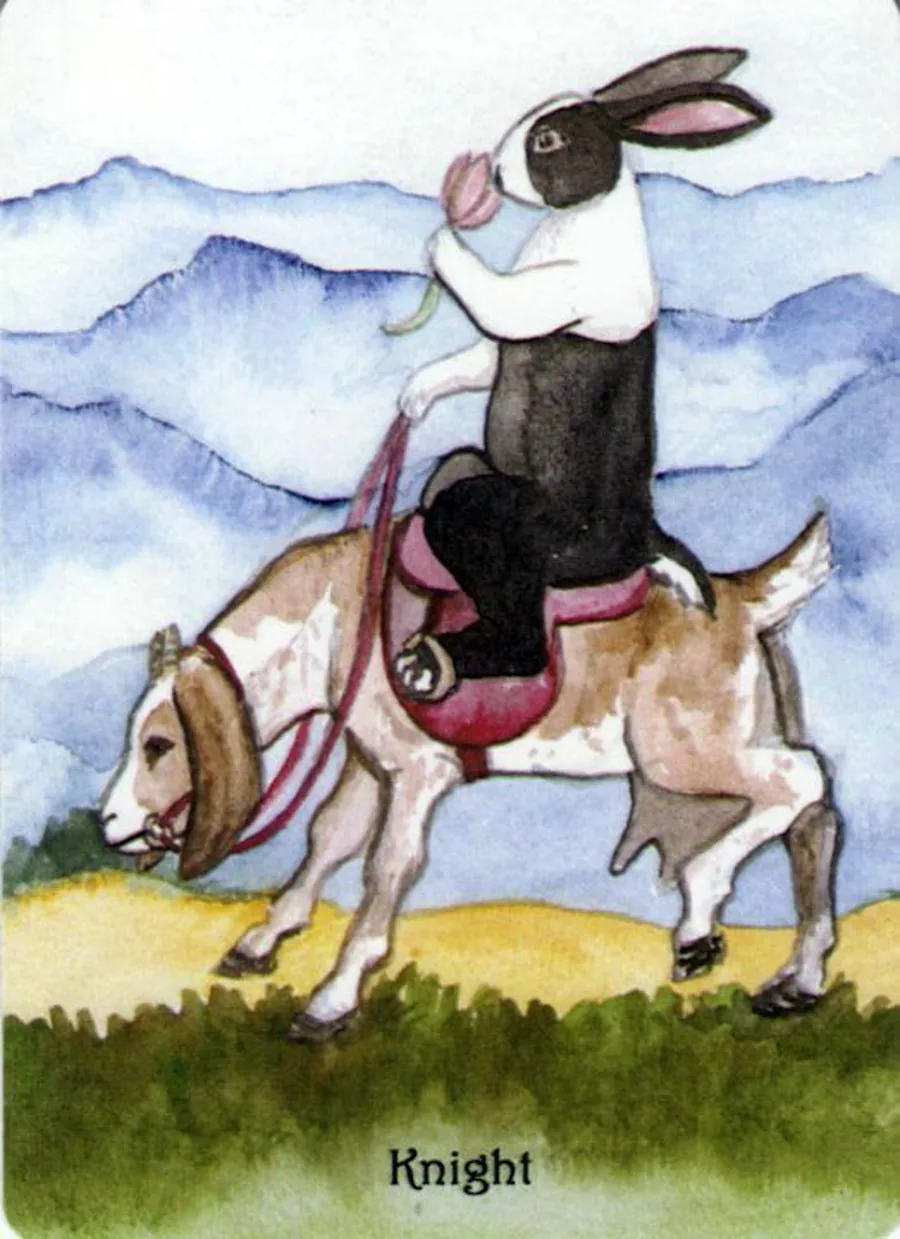 Knight of Cups card from The Rabbit Tarot deck