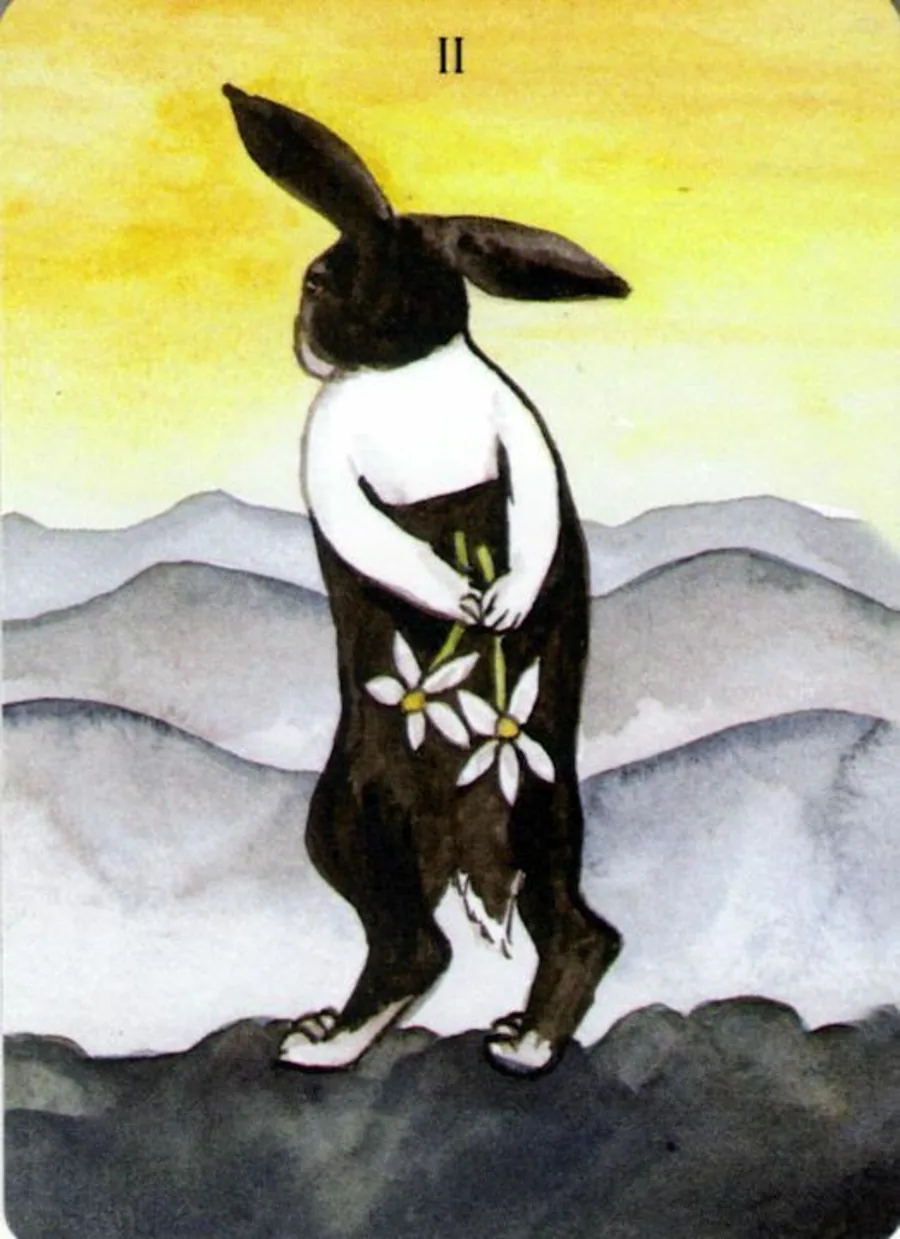 - Card from The Rabbit Tarot Deck card from the The Rabbit Tarot deck