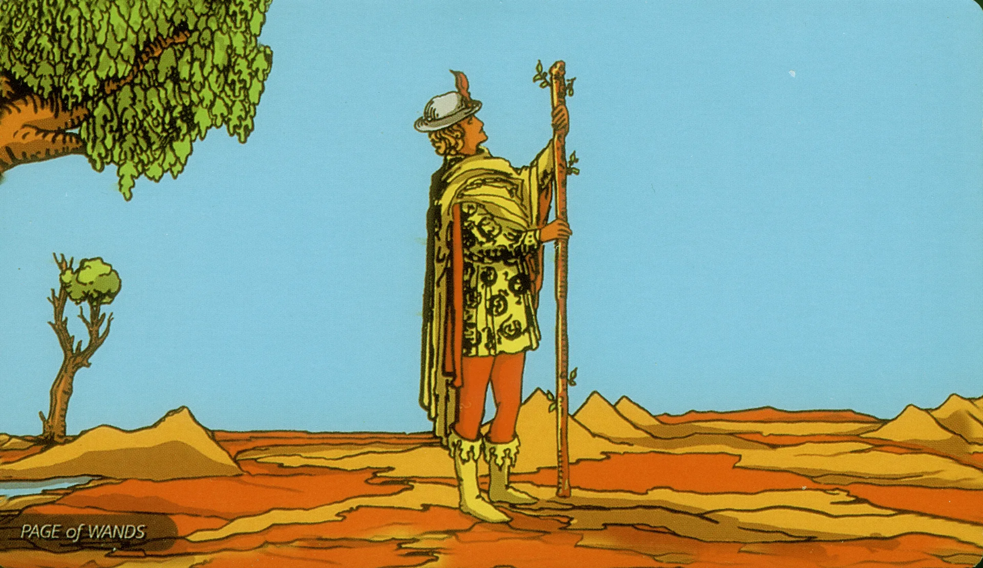 Page of Wands Rider-Waite-Smith tarot card panorama
