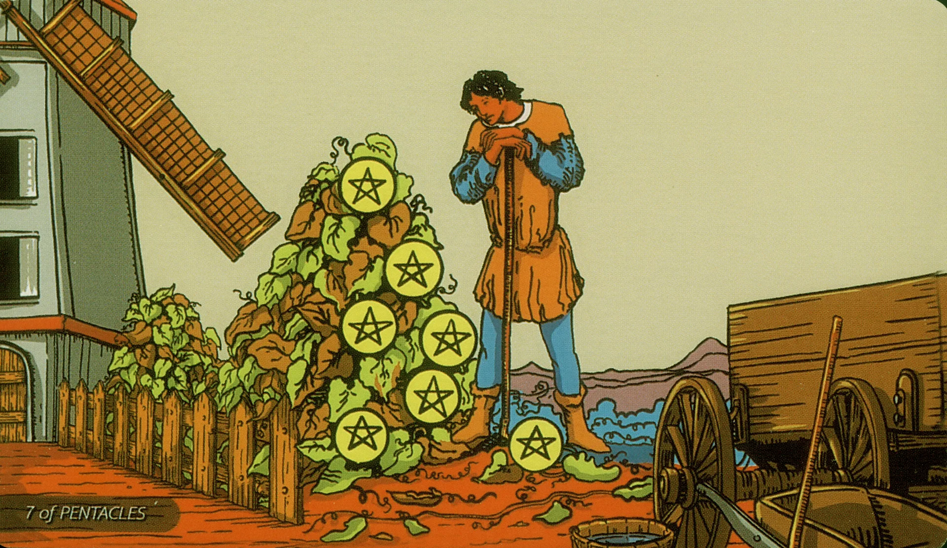 Seven of Pentacles Rider-Waite-Smith tarot card panorama