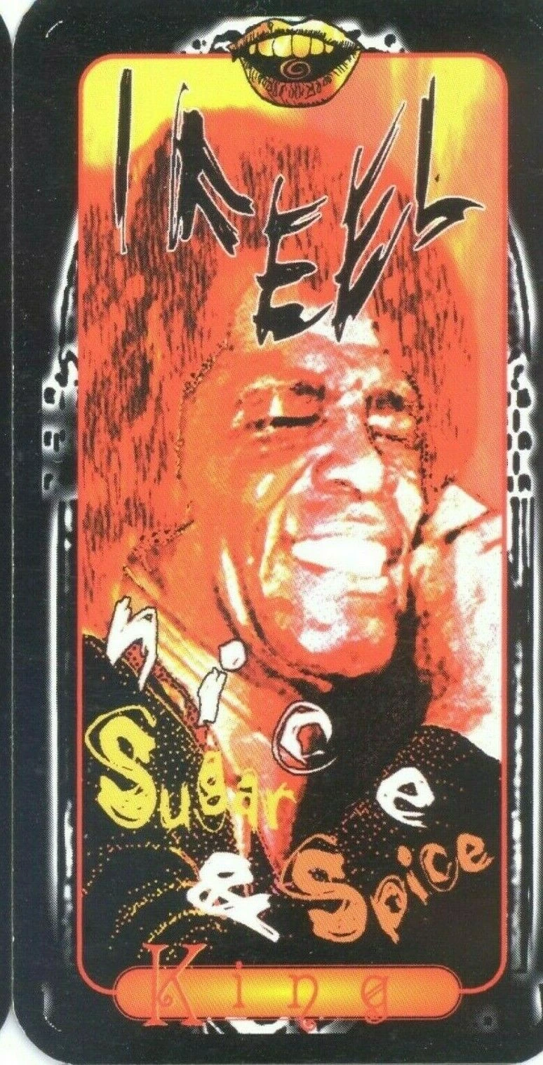 Rock & Roll Tarot Review (All 78 Rock & Roll Tarot Cards REVEALED!) 86 King of Voice - Rock & Roll Tarot - Chris Paradis