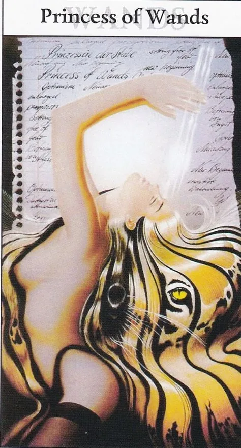 Princess of Wands card from the Rohrig Tarot deck
