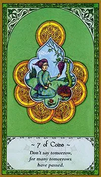 7 of Coins card from the Rumi Tarot deck