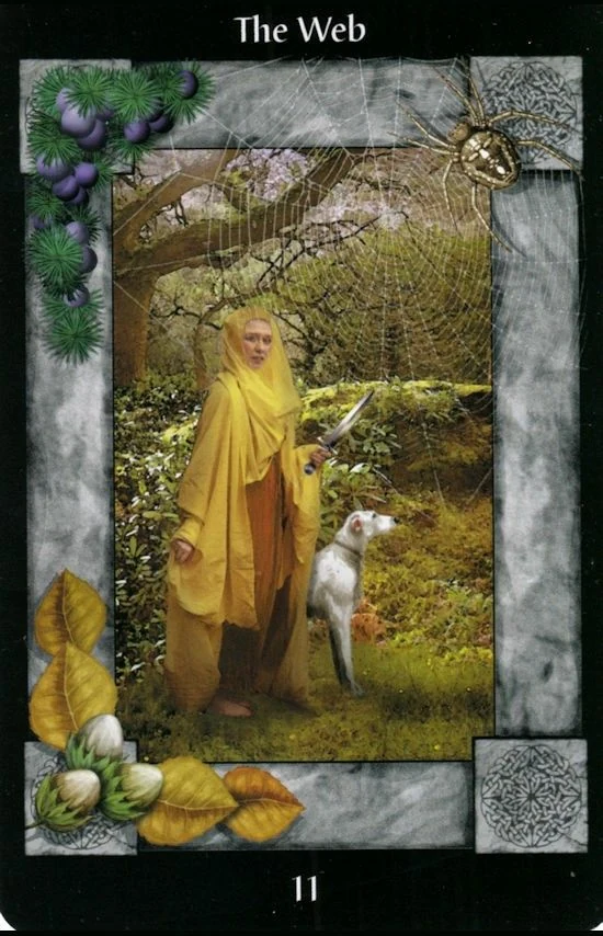 The Web - Sacred Circle Tarot - Paul Mason