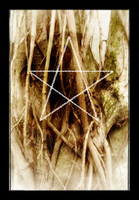 Ace of Pentacles card from the Savage Tarot deck by MichelleX