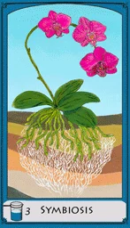 Three of Cups — Symbiosis card from the Science Tarot deck