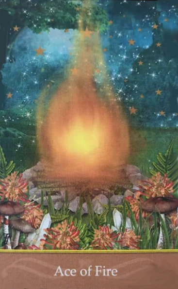 Ace of Fire - Second Nature Tarot - Jae Larson