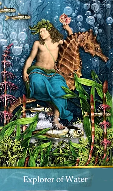 Explorer of Water - Second Nature Tarot - Jae Larson