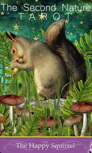 The Happy Squirrel - Second Nature Tarot - Jae Larson