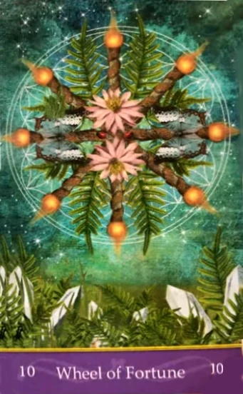 Wheel of Fortune - Second Nature Tarot - Jae Larson