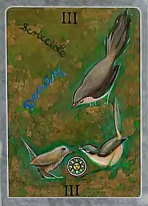 3 of Coins card from The Secret Language of Birds Tarot, illustrated by Linda Sutton