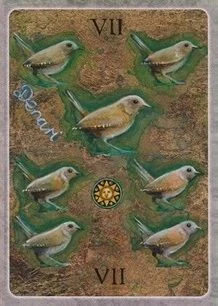 7 of Coins card from The Secret Language of Birds Tarot, illustrated by Linda Sutton