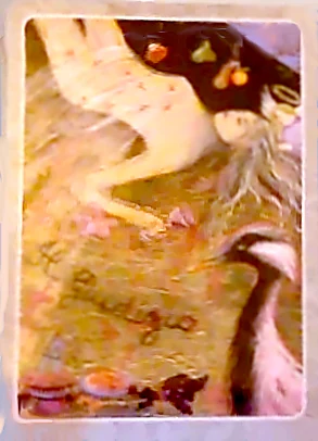 Temperance card from The Secret Language of Birds Tarot, illustrated by Linda Sutton