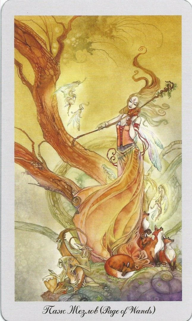 Page of Wands card from the Shadowscapes Tarot deck