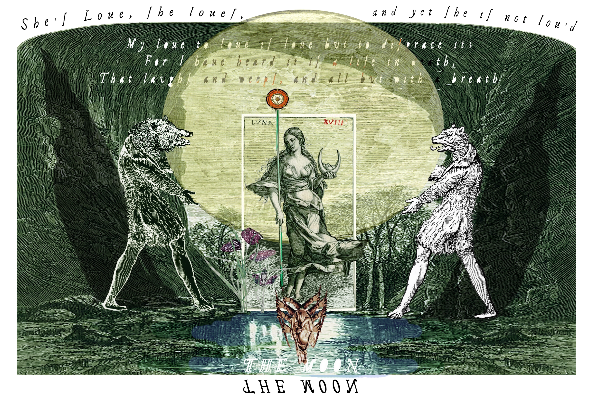 The Moon card from The Shakespeare Tarot by Chris Leech