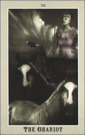 The Chariot card from the Silver Era Tarot deck