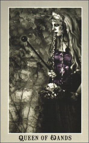 Queen of Wands card from the Silver Era Tarot deck