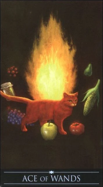 Ace of Wands card from the Silver Witchcraft Tarot deck
