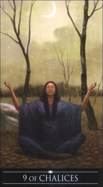Nine of Chalices card from the Silver Witchcraft Tarot deck
