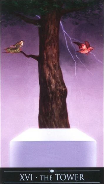 The Tower card from the Silver Witchcraft Tarot deck