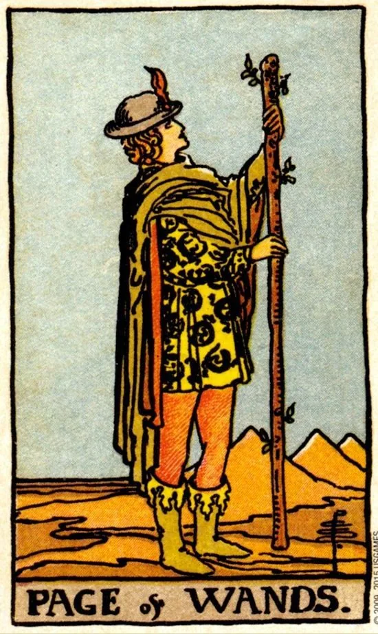Page of Wands card from the Smith Waite Tarot deck