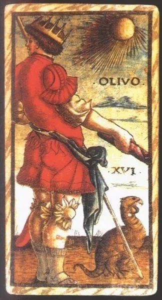 Olivo (XVI)