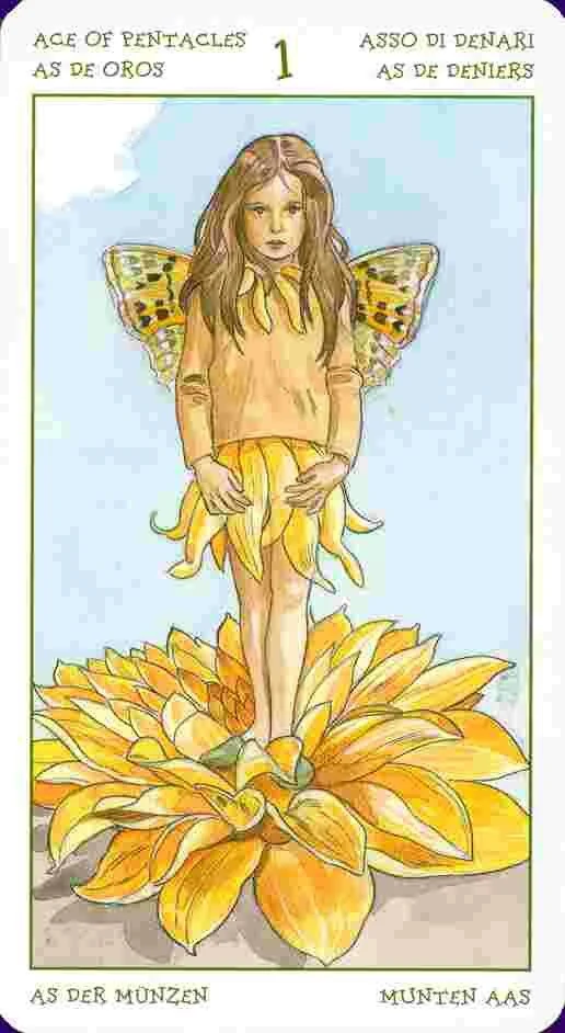Ace of Pentacles card from the Spirit of Flowers Tarot deck
