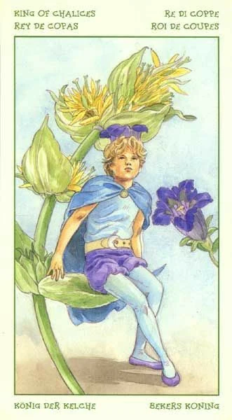 King of Chalices card from the Spirit of Flowers Tarot deck