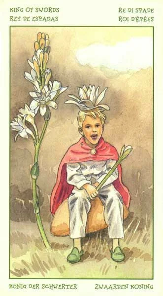 King of Swords card from the Spirit of Flowers Tarot deck