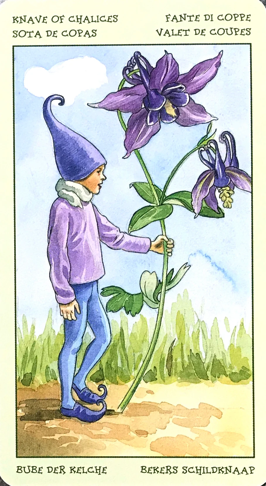Knave of Chalices card from the Spirit of Flowers Tarot deck