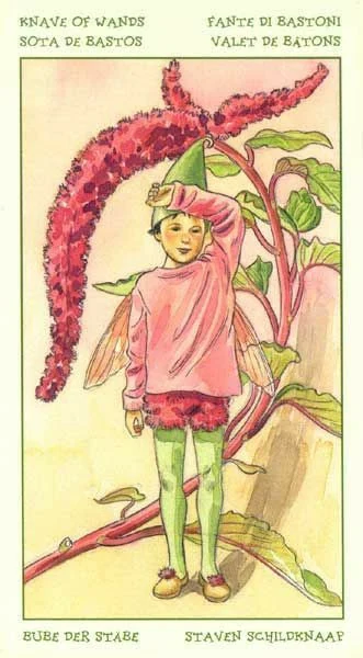 Knave of Wands card from the Spirit of Flowers Tarot deck