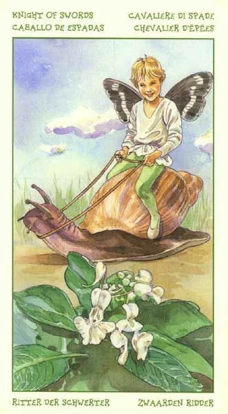 Knight of Swords card from the Spirit of Flowers Tarot deck